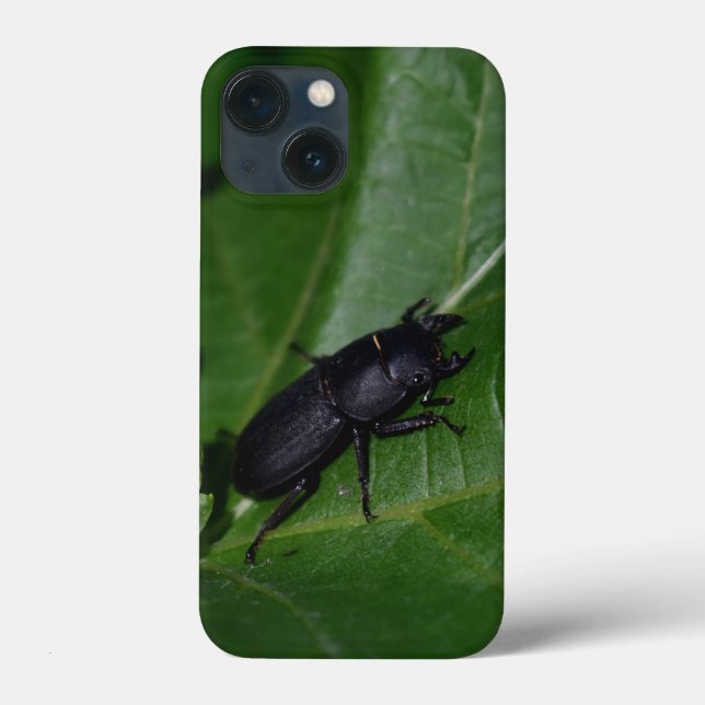 Dorcus parallelipipedus , der kleinere Hirschkäfer Case-Mate iPhone Hülle (Rückseite)