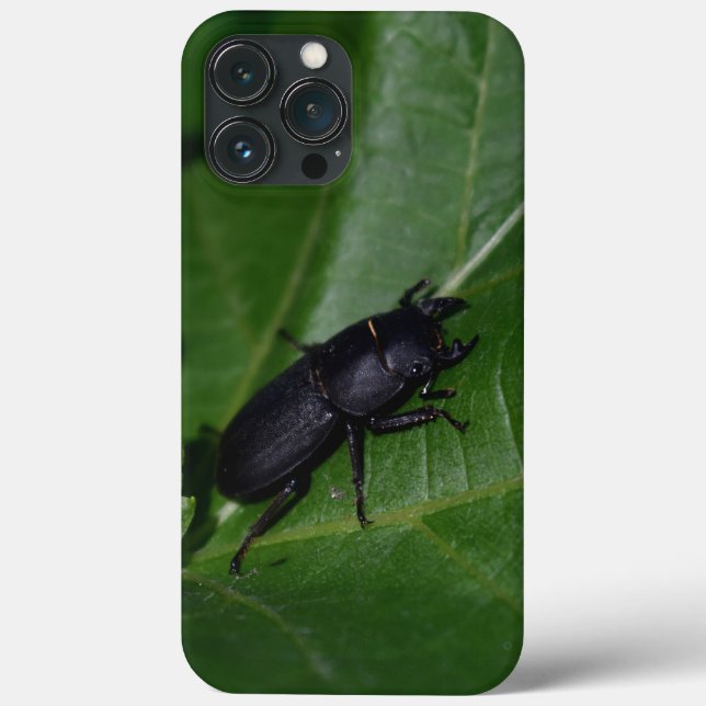 Dorcus parallelipipedus , der kleinere Hirschkäfer Case-Mate iPhone Hülle (Rückseite)