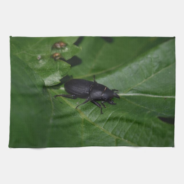 Dorcus parallelipipedus , der kleinere Hirschkäfer Geschirrtuch (Horizontal)