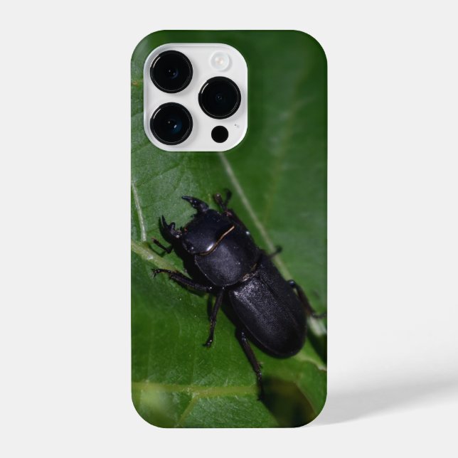 Dorcus parallelipipedus , der kleinere Hirschkäfer iPhone 14 Pro Hülle (Rückseite)