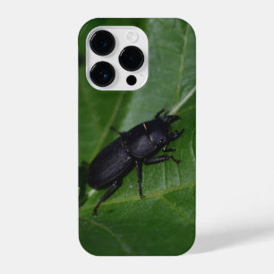 Dorcus parallelipipedus , der kleinere Hirschkäfer iPhone 14 Pro Hülle