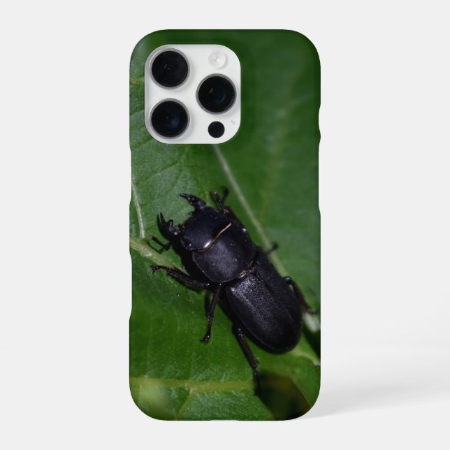 Dorcus parallelipipedus , der kleinere Hirschkäfer iPhone 16 Pro Hülle (Rückseite)