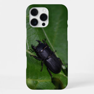 Dorcus parallelipipedus , der kleinere Hirschkäfer iPhone 16 Pro Max Hülle