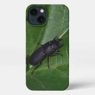 Dorcus parallelipipedus , der kleinere Hirschkäfer iPhone Hülle