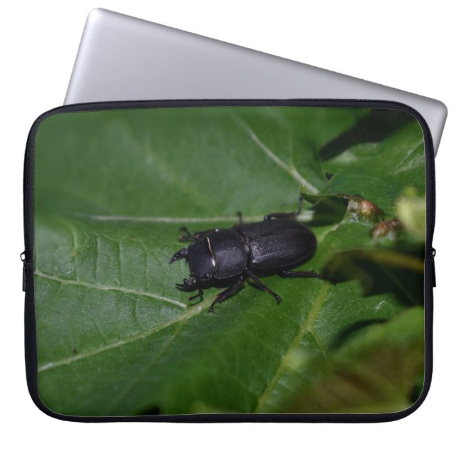 Dorcus parallelipipedus , der kleinere Hirschkäfer Laptopschutzhülle (Vorderseite)