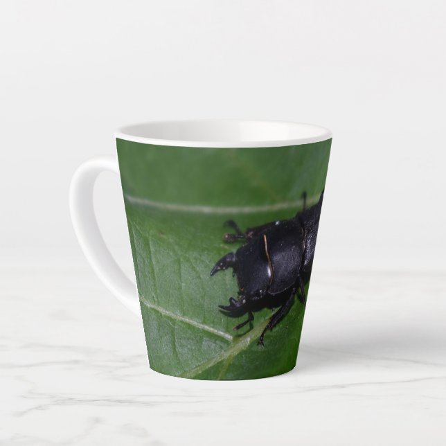 Dorcus parallelipipedus , der kleinere Hirschkäfer Milchtasse (Linke Ecke)
