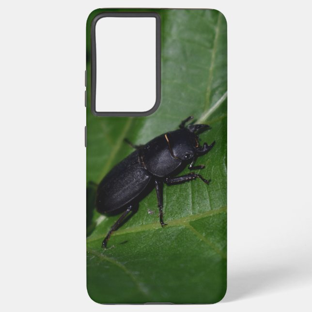 Dorcus parallelipipedus , der kleinere Hirschkäfer Samsung Galaxy Hülle (Rückseite)