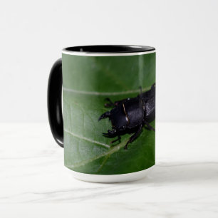 Dorcus parallelipipedus , der kleinere Hirschkäfer Tasse