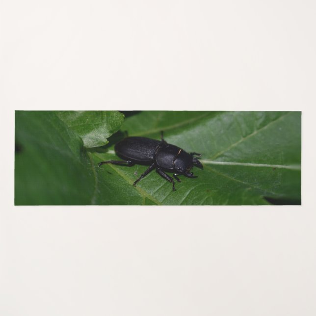 Dorcus parallelipipedus , der kleinere Hirschkäfer Yogamatte (Vorderseite (Horizontal))