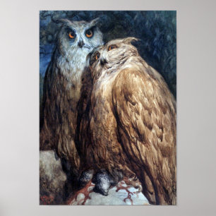 DORE-ZWEI OWLS-DRUCKEN POSTER