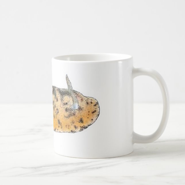Doris pseudoargus kaffeetasse (Rechts)