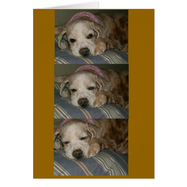 dormir à seattle (Devant)