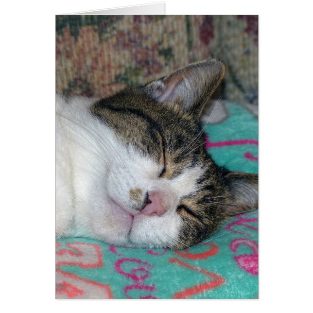 Dormir de miel (Devant)