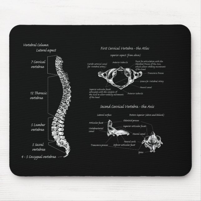 Dorn Mousepad (Vorne)