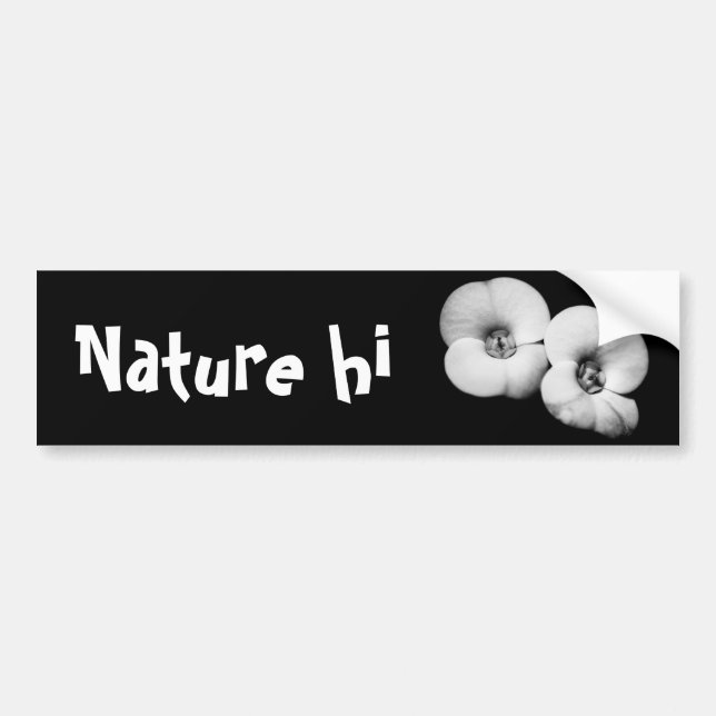 Dornenkrone Autoaufkleber (Vorne)