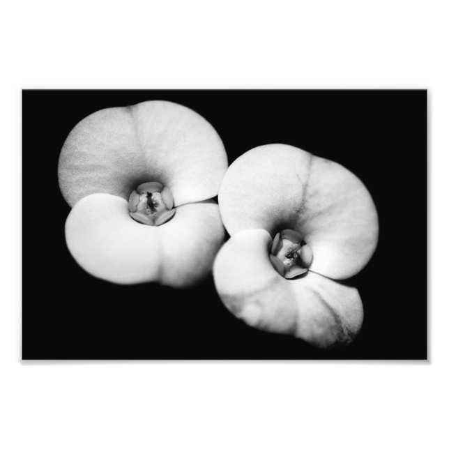 Dornenkrone Fotodruck (Vorne)