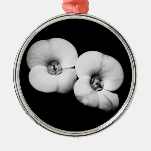 Dornenkrone Silbernes Ornament (Vorne)