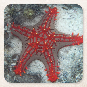 Dornenkrone Starfish auf dem Korallenriff Rechteckiger Pappuntersetzer