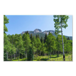 Dorodigipfel über Wäldern am goldenen Tor Fotodruck