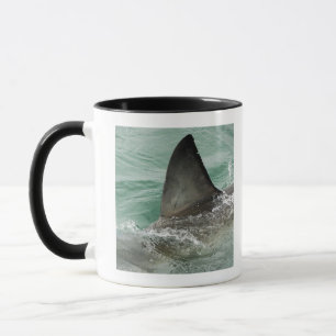 Dorsales Querruder eines Weißen Hais Tasse