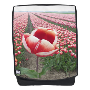 Dos Tulipe rouge et blanche sur terrain Tulipes Sac à