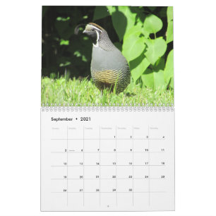 Dos Yard Birds !  CALENDRIER DE L'Oiseau