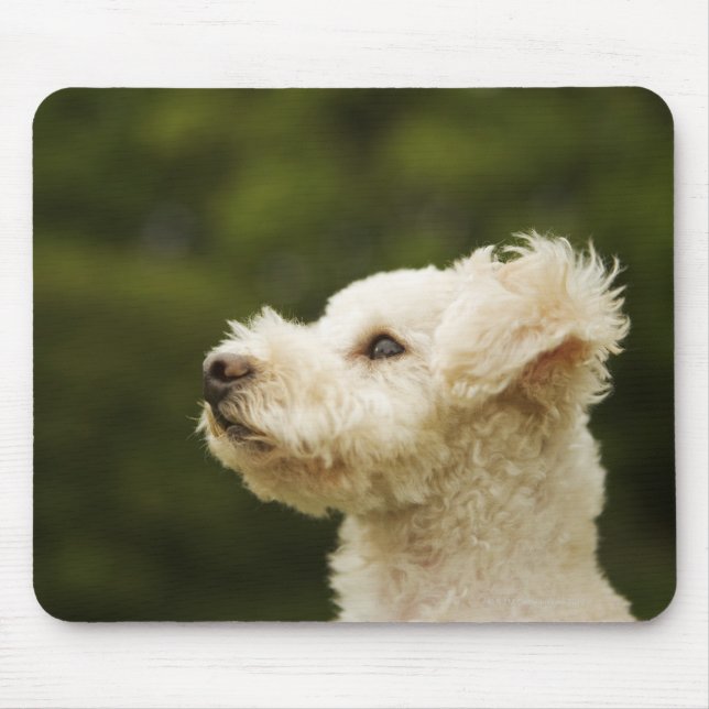 Dose (weiß) 2 mousepad (Vorne)