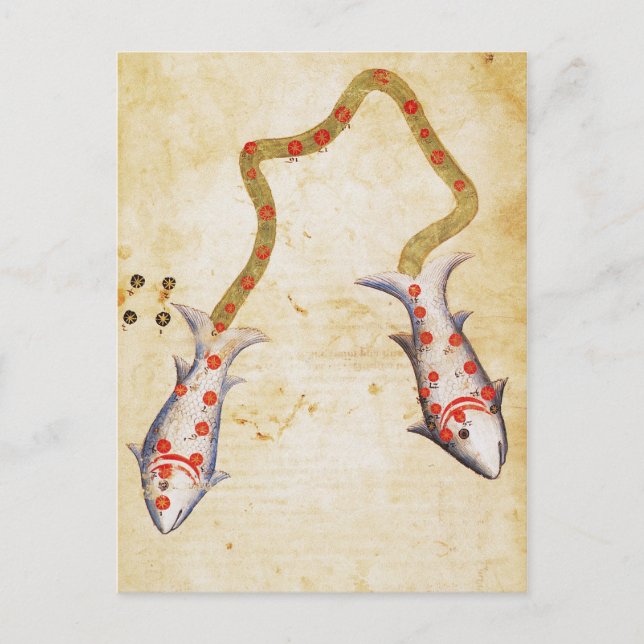 Dosen, C1350 Postkarte (Vorderseite)