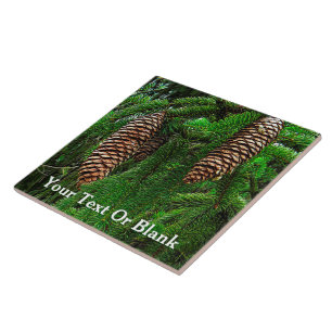 Dosen und Nadeln Fliese