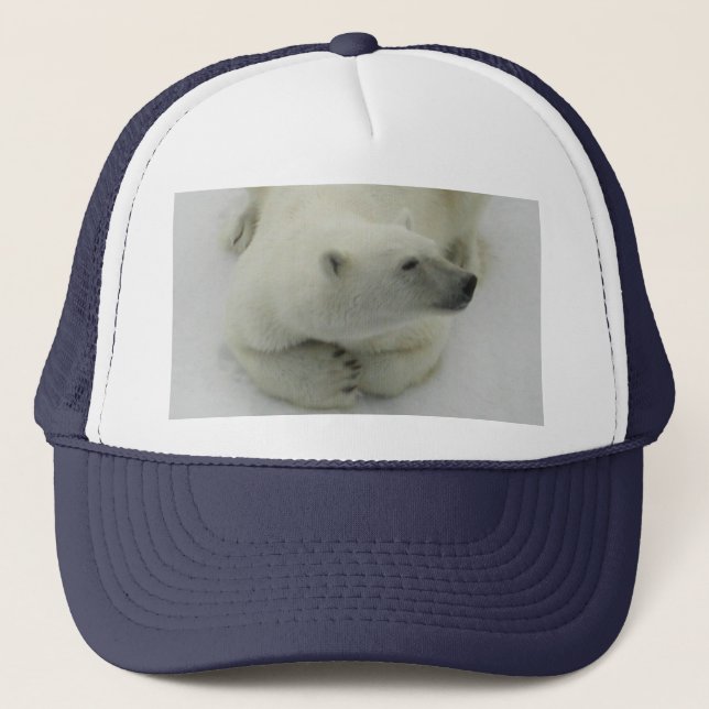 Dösender Eisbär Truckerkappe (Vorderseite)