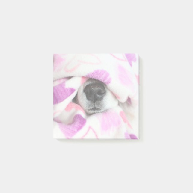 Dosennose - Anmerkungen Post-it Klebezettel (Vorderseite)