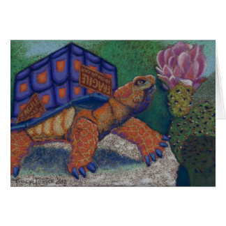 Dosenschildkröte
