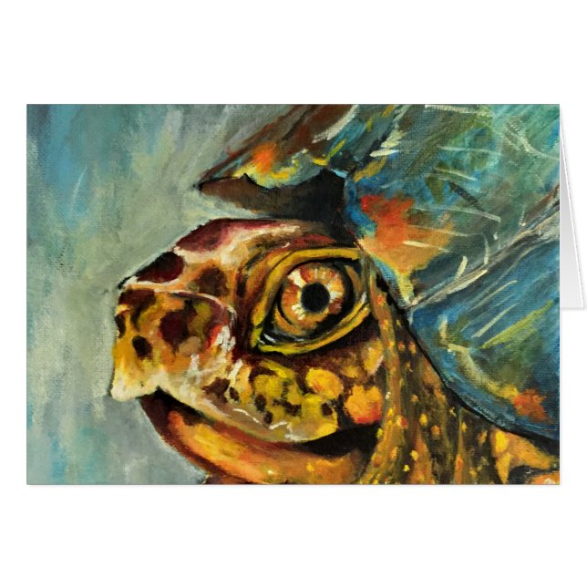 Dosenschildkröte (Vorderseite (Horizontal))