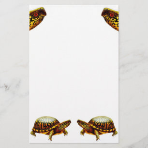 Dosenschildkröte-Briefpapier Briefpapier