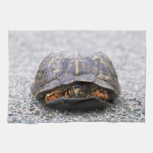 Dosenschildkröte Geschirrtuch
