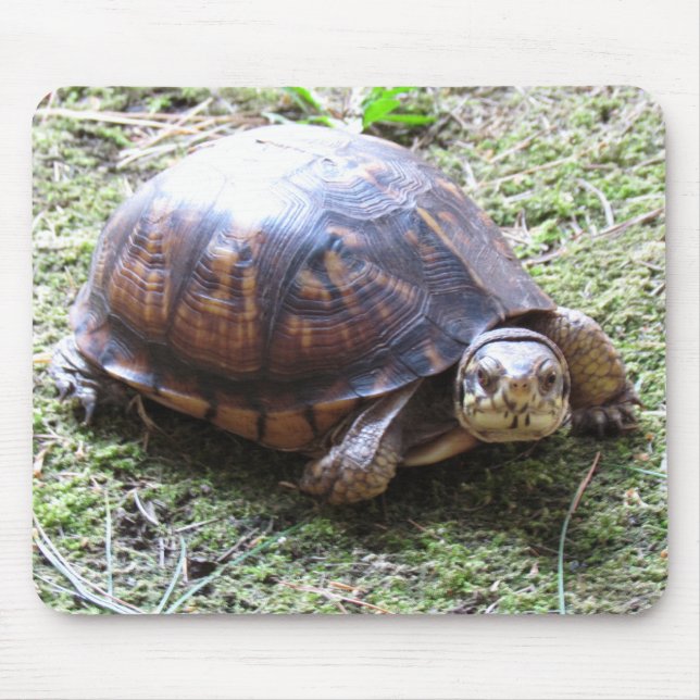Dosenschildkröte - moosiger Weg Mousepad (Vorne)