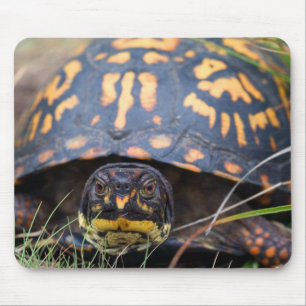 Dosenschildkröte Mousepad
