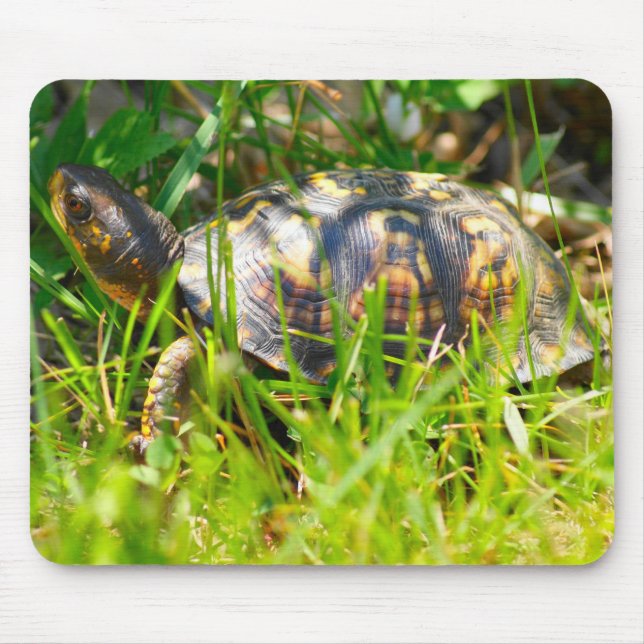 Dosenschildkröte Mousepad (Vorne)