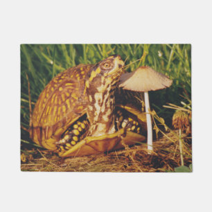 Dosenschildkröte-Pilz-Tür-Matte Fußmatte
