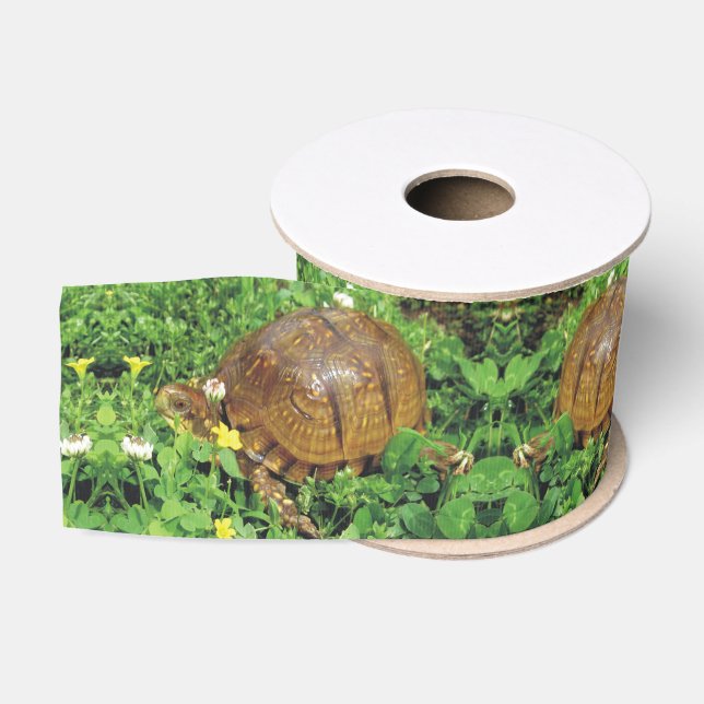 Dosenschildkröte-Sommerzeit-Schildkröte-Band Ripsband (Spule)