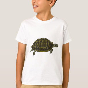 Dosenschildkröte T-Shirt