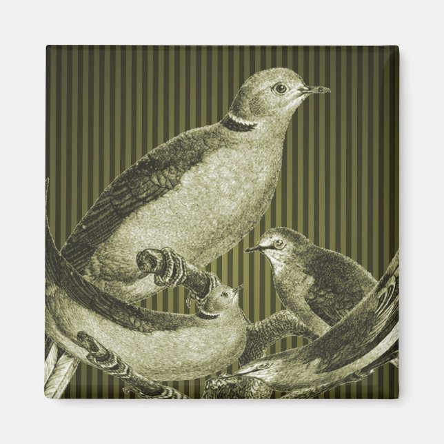 Doses Sur Branche Magnet d'art ornithologique (Devant)
