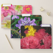 Dossier Fichier Fleurs