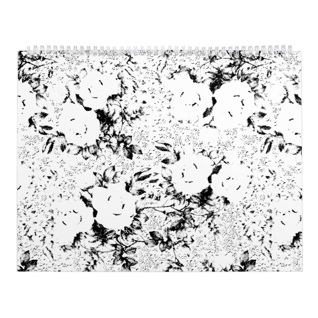 Dot, schwarze Kuh Kalender (Titelbild)