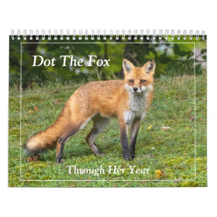 Dot the Fox Kalender