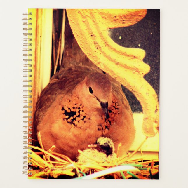 Doting Mama Dove Planer (Vorderseite)