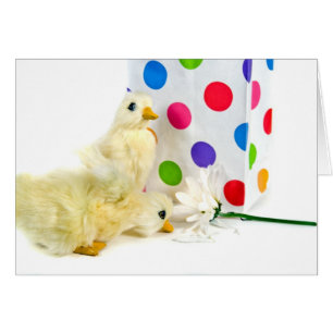 Dots, Enten und Daisy