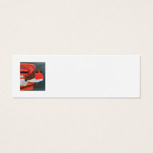 Dotty Robin Mini Carte de visite