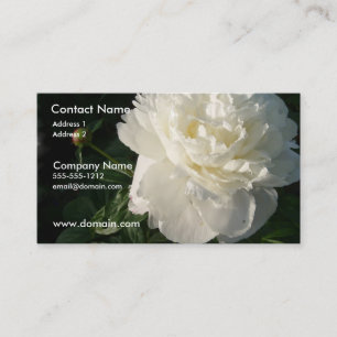 Double carte de visite blanc de pivoine