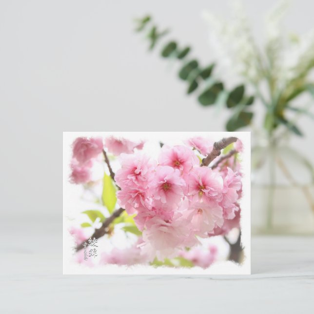 Double Cherry Blossom: Ayanishiki ポストカード Postkarte (Stehend Vorderseite)